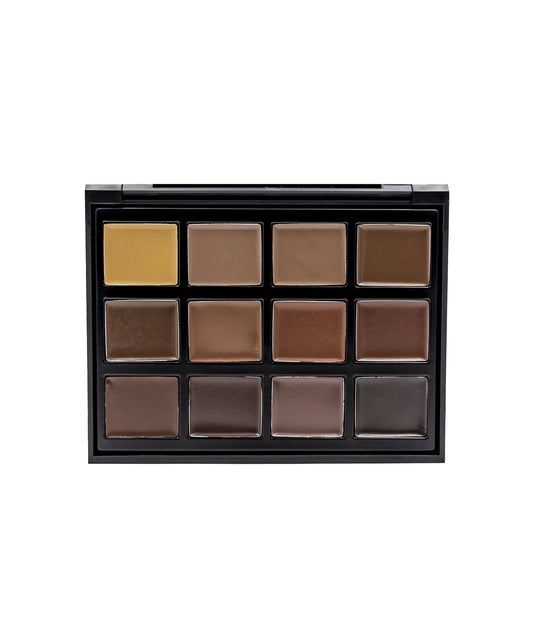 Pro Eyebrow Palette 12EB